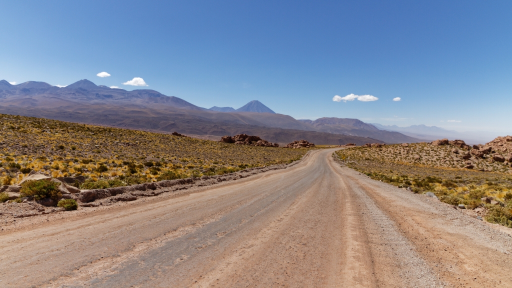 01 - Désert d'Atacama (42).jpg